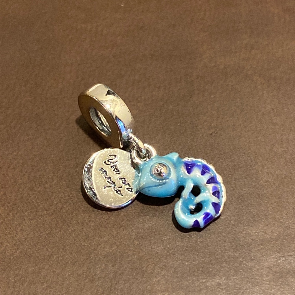 Color changing chameleon charm